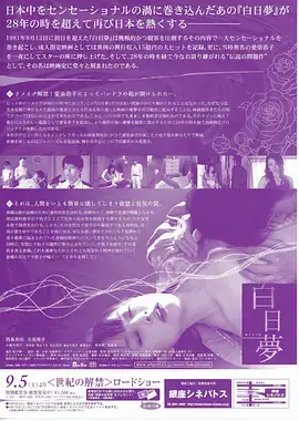 暖阳之下 电视剧 2025
